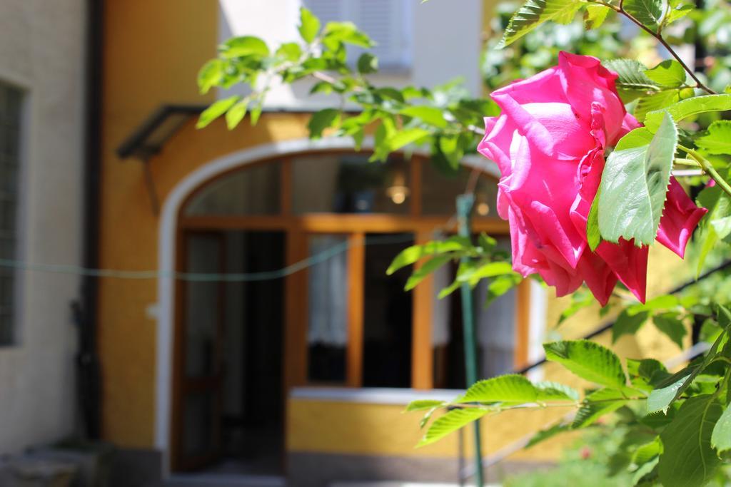 Rose Apartment By Quokka 360 - Refined Two-Bedroom Apartment With Garden Лугано Екстериор снимка